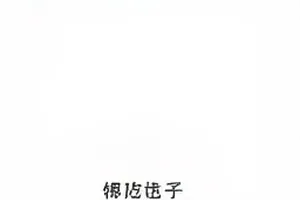 《山海食堂》番外停更公告版式图